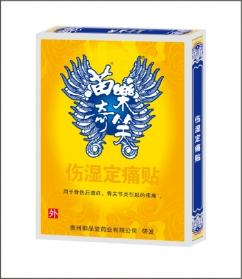 伤湿定痛贴