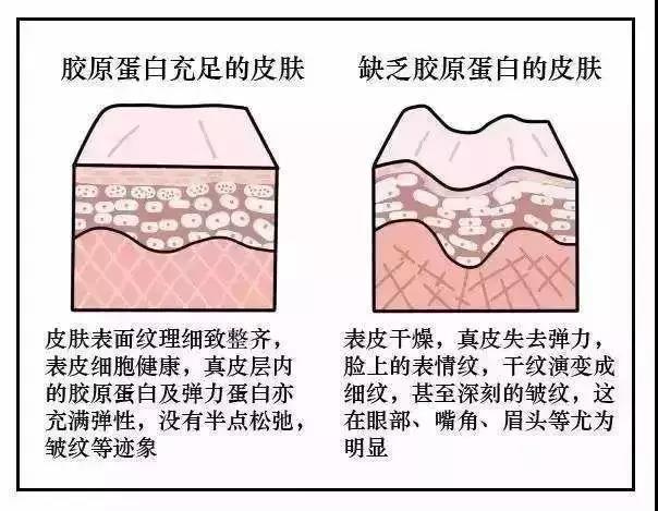 微信图片_20190508174631.jpg